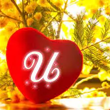 heart u name dp